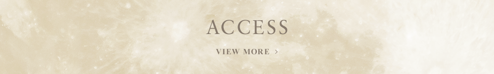 ACCESS